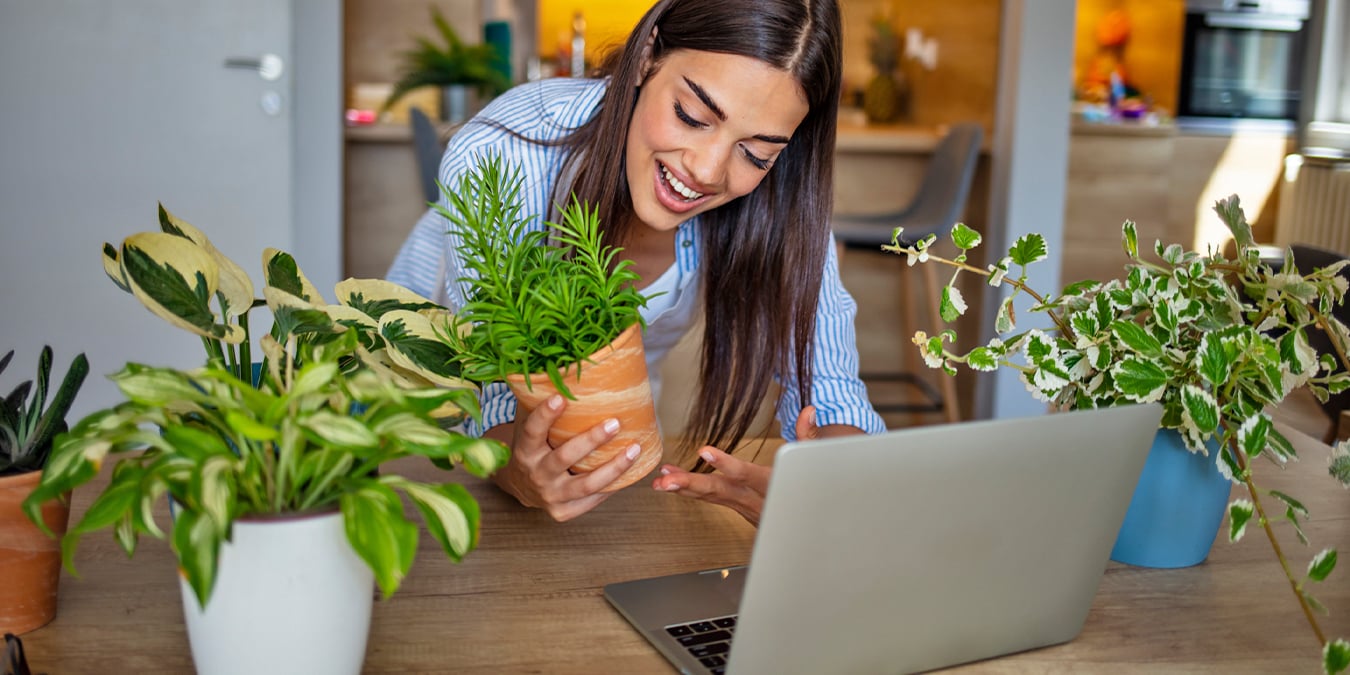 Young woman sharing her plants on livestream e-commerce 