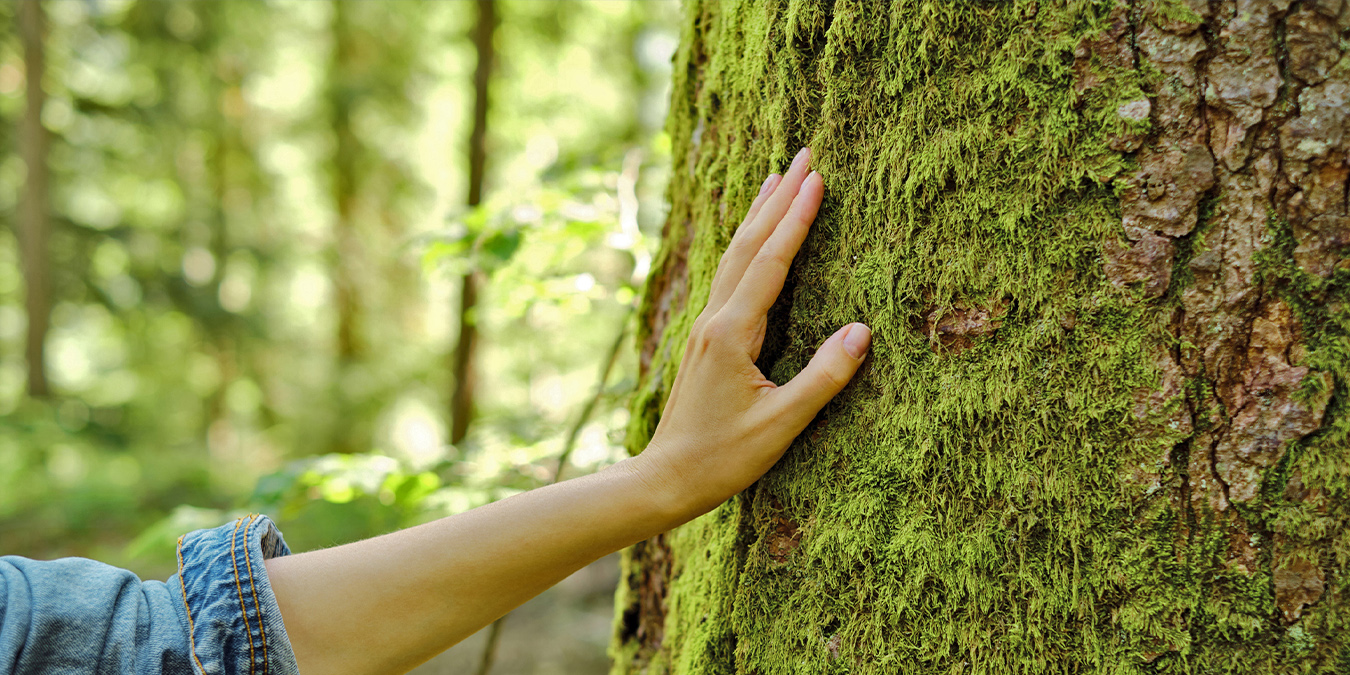woman touching moss on tree earth day