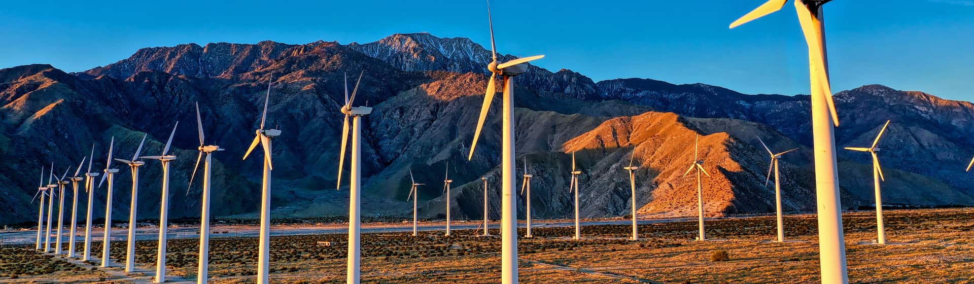 Sustainability + Earth Day