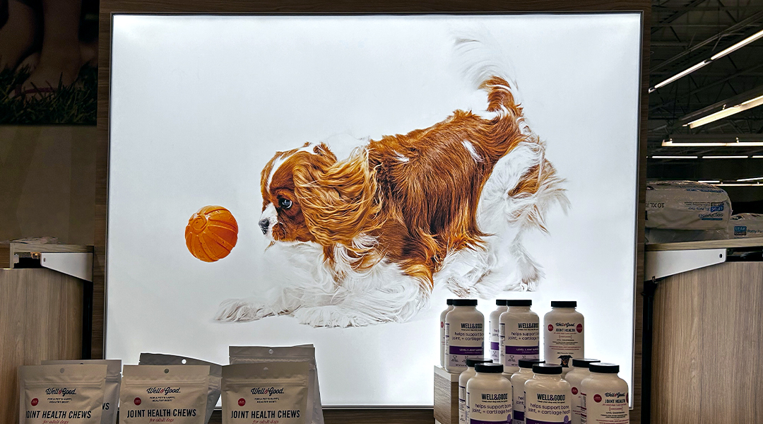 PETCO HEALTHY HABITS HUB SEG DISPLAY PETCO HEALTHY HABITS HUB SEG DISPLAY