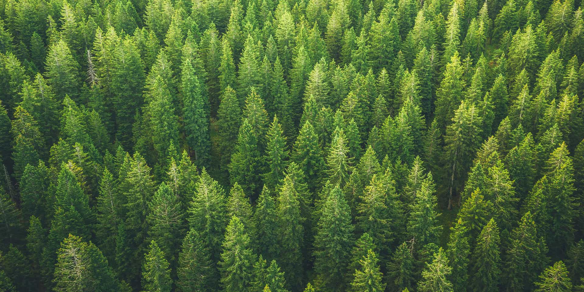 Earth Day 2020: Sustainability is a Business Imperative